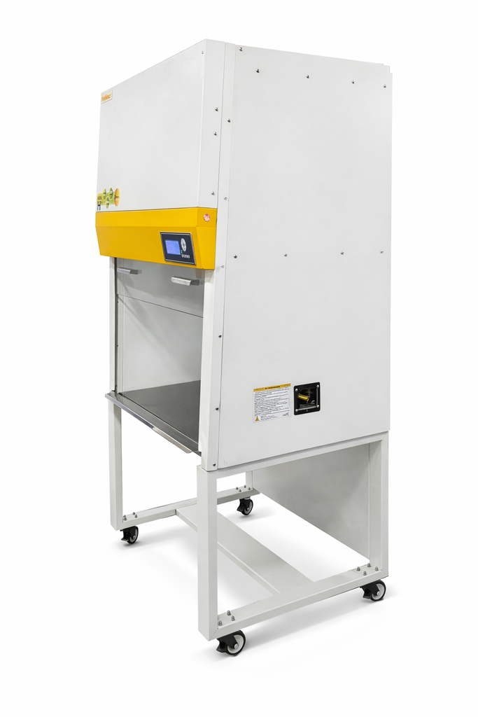 ChatGPT Image Feb 9, 2026, 01_56_48 PM.png