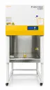 Biosafety Cabinet A2 (6 Ft, Eco Series)