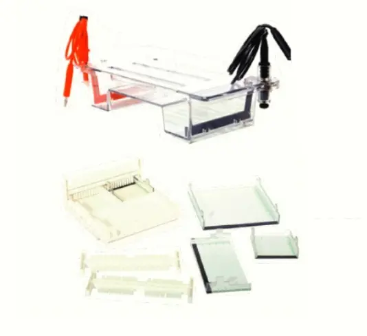 GelGo MIDI PLUS, HORIZONTAL
IMMERSED GEL ELECTROPHORESIS UNIT