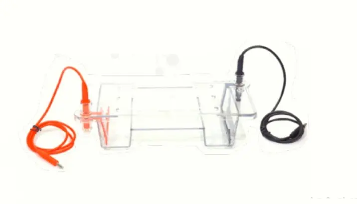 Mini Horizontal Immersed Gel Electrophoresis Unit