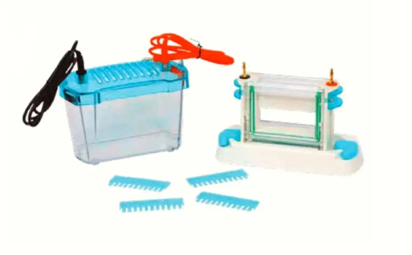 GelGo MINI VERTICAL DUAL
GEL ELECTROPHORESIS UNIT