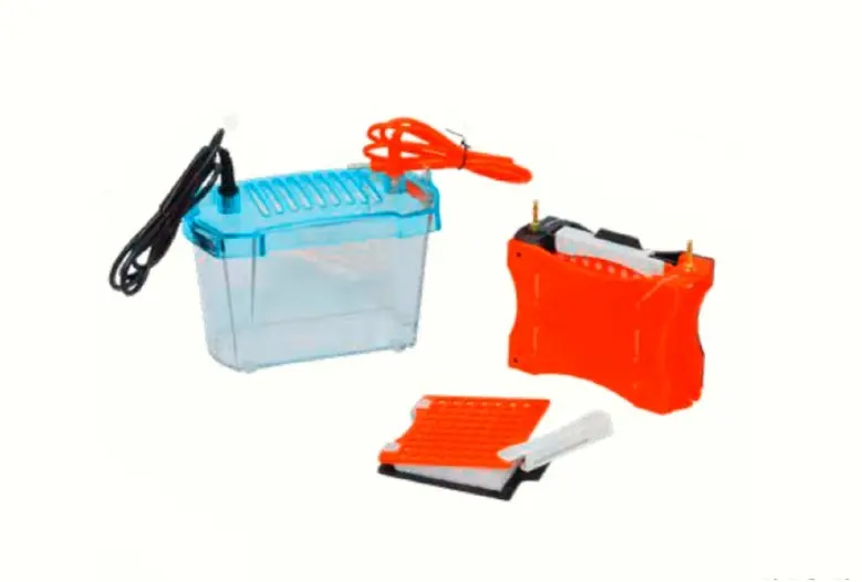 Electrophoresis Wet blotting Dual system