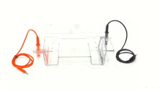 Mini Horizontal Immersed Gel Electrophoresis Unit